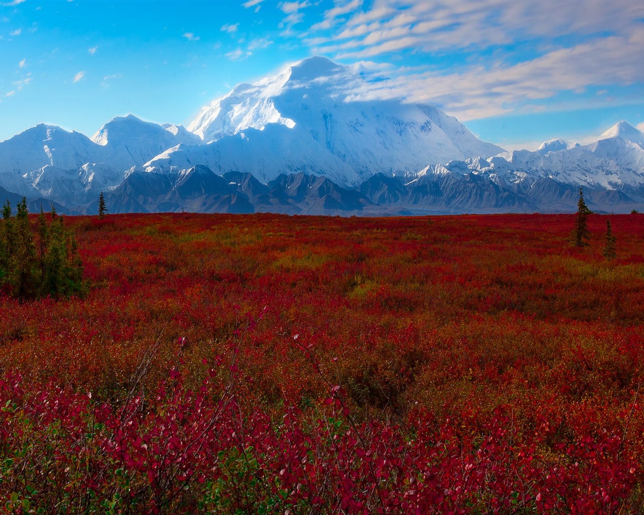 Denali National Park 丹那利国家公园 高清风景壁纸7 - 1280x1024