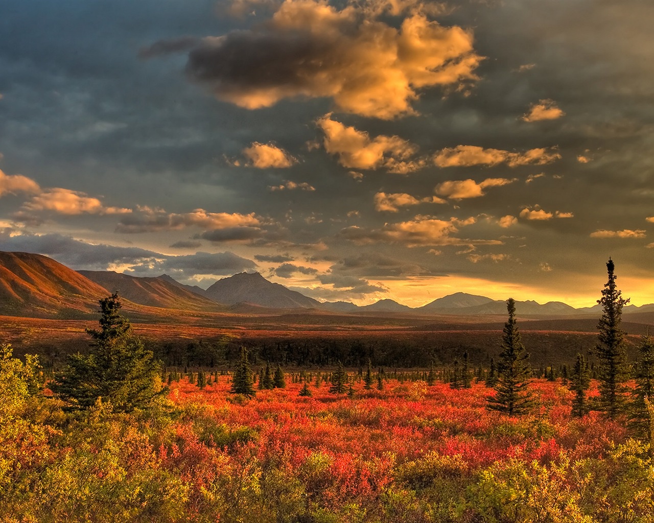 Denali National Park 迪納利國家公園 高清風景壁紙 #8 - 1280x1024