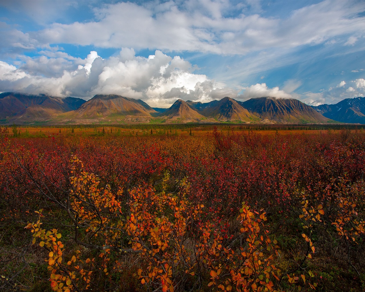 Parque Nacional Denali HD fondos de pantalla paisaje #9 - 1280x1024