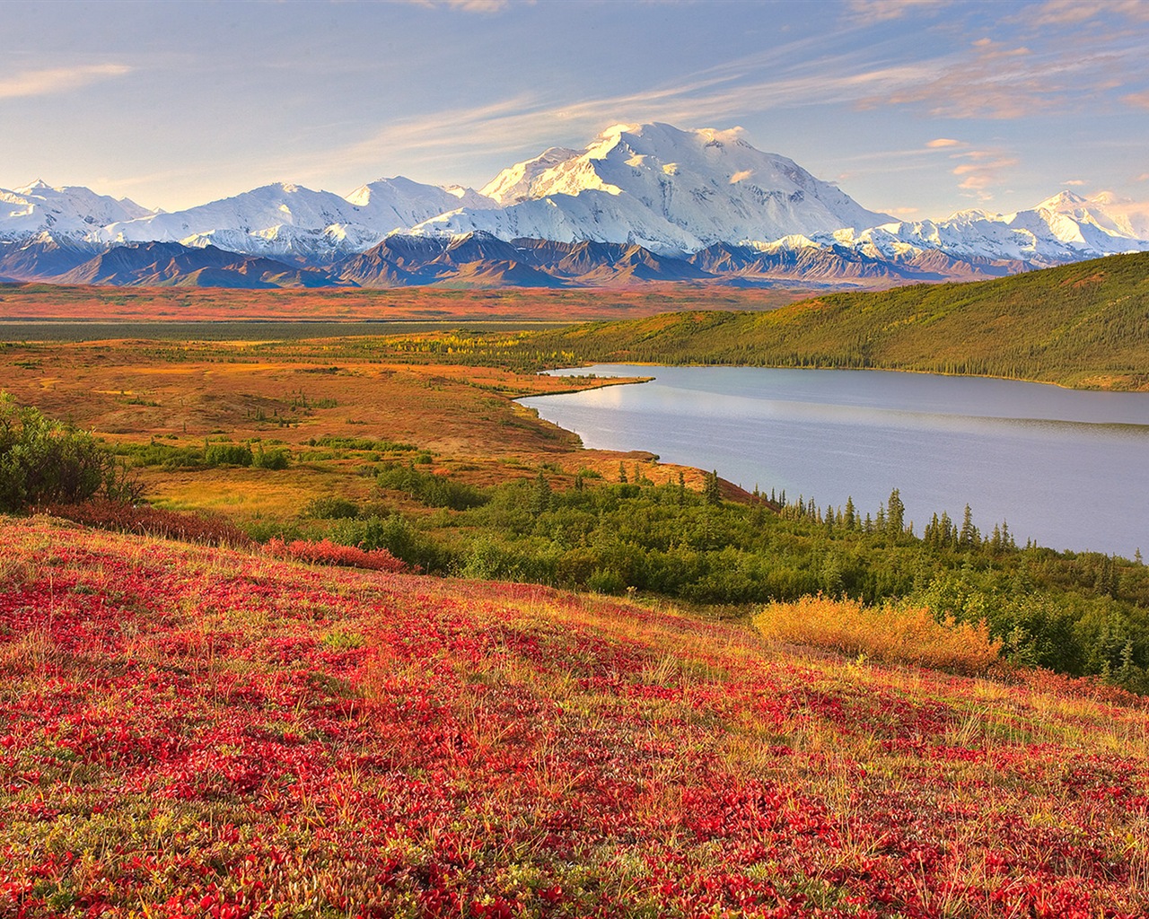 Denali National Park 迪納利國家公園 高清風景壁紙 #10 - 1280x1024