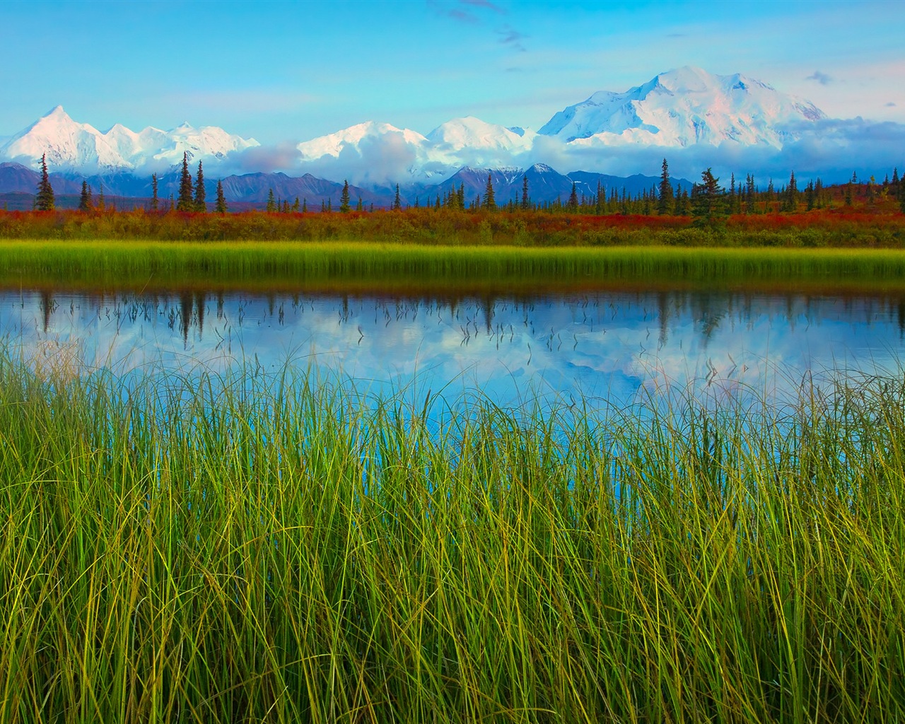 Denali National Park HD Tapety #11 - 1280x1024