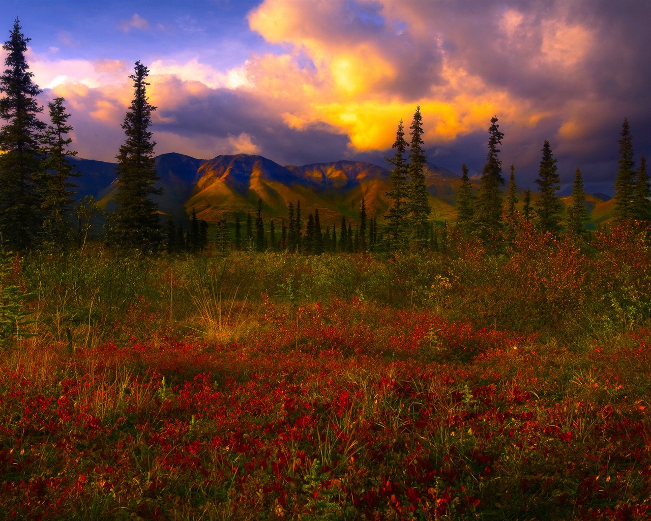 Parque Nacional Denali HD fondos de pantalla paisaje #12 - 1280x1024