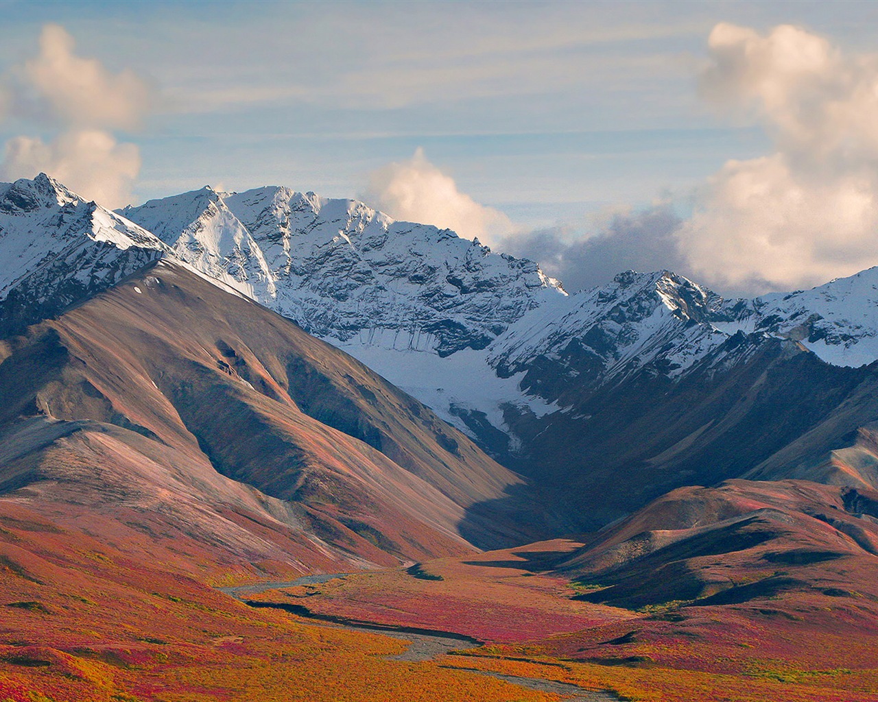 Denali National Park 迪納利國家公園 高清風景壁紙 #15 - 1280x1024