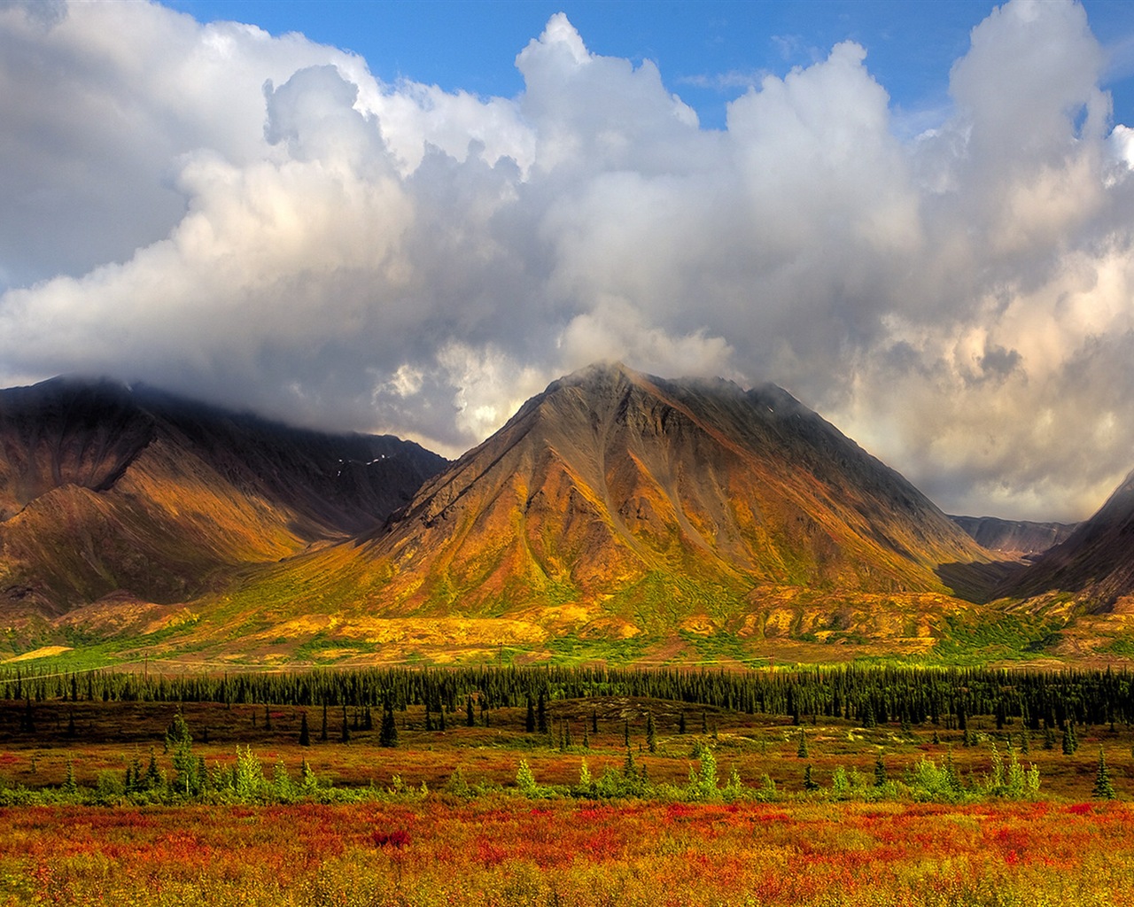 Denali National Park Landschaft HD Wallpaper #16 - 1280x1024