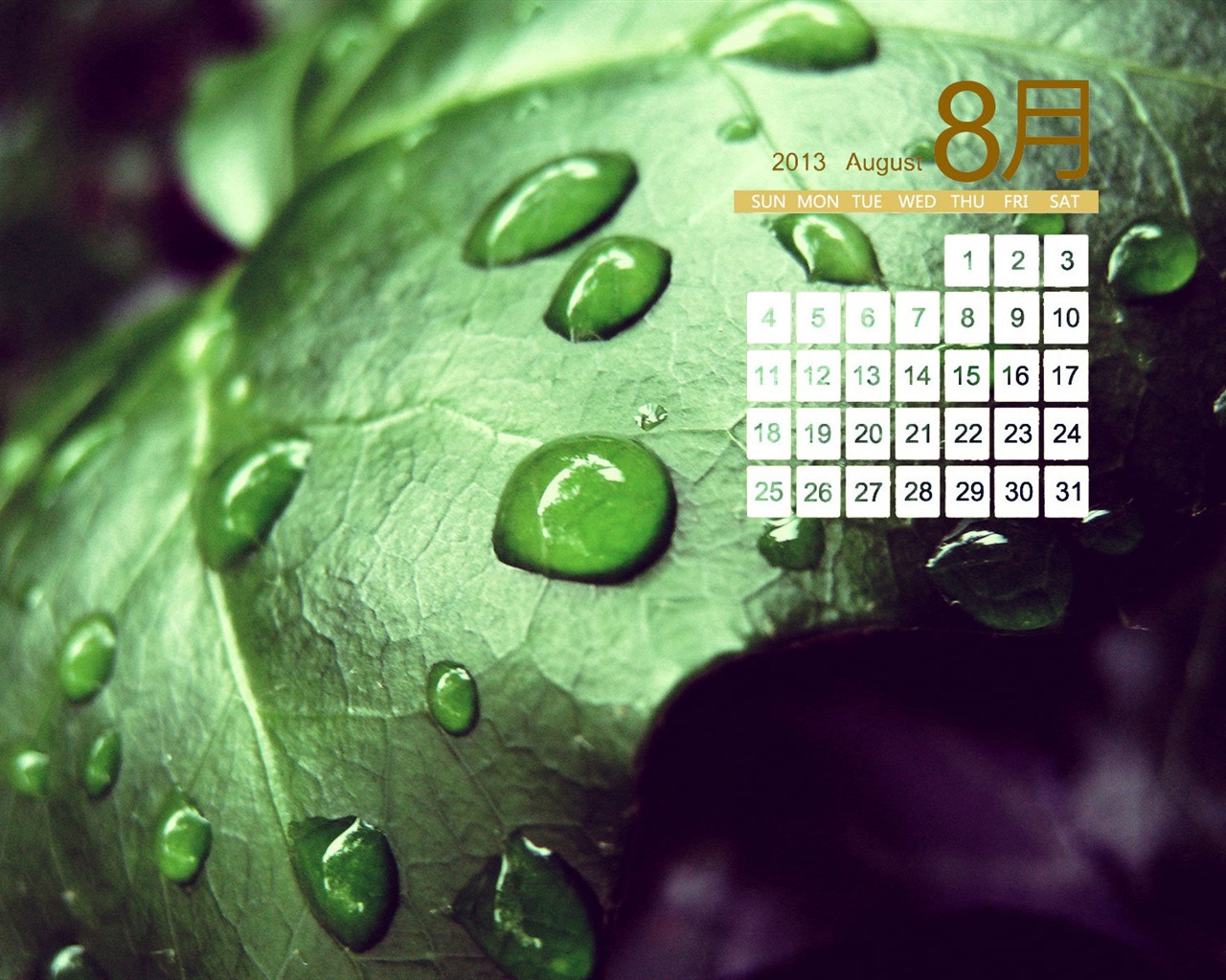August 2013 calendar wallpaper (1) #16 - 1280x1024