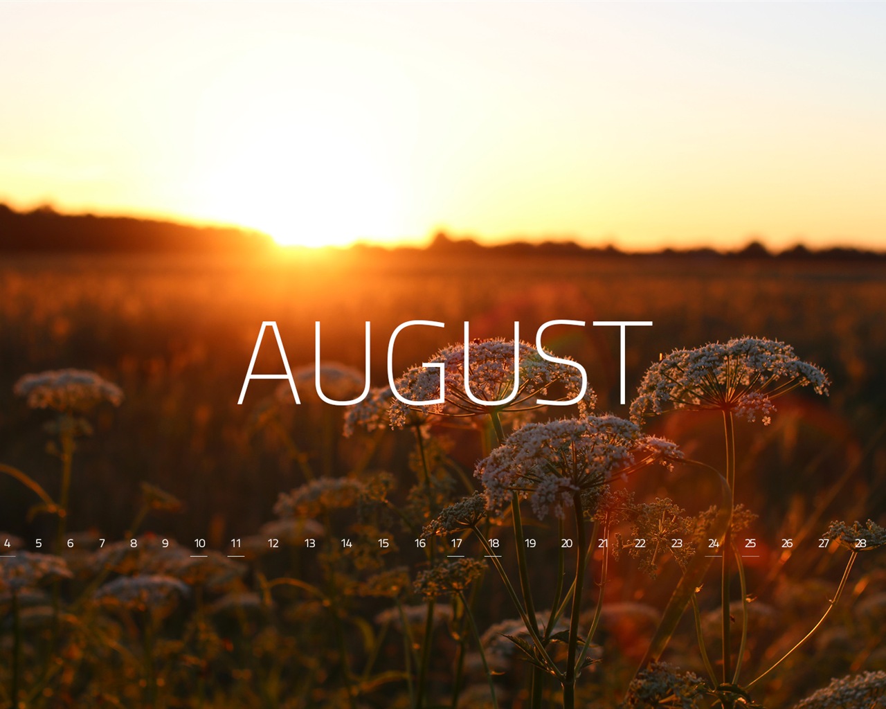 August 2013 calendar wallpaper (2) #2 - 1280x1024
