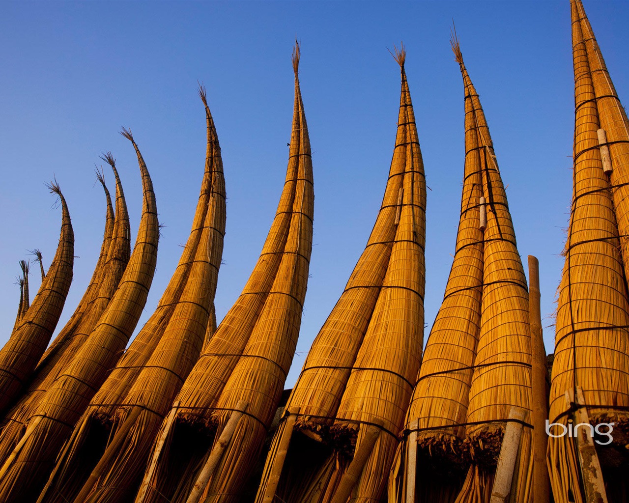 2013 Bing official animals and landscape HD wallpapers #15 - 1280x1024