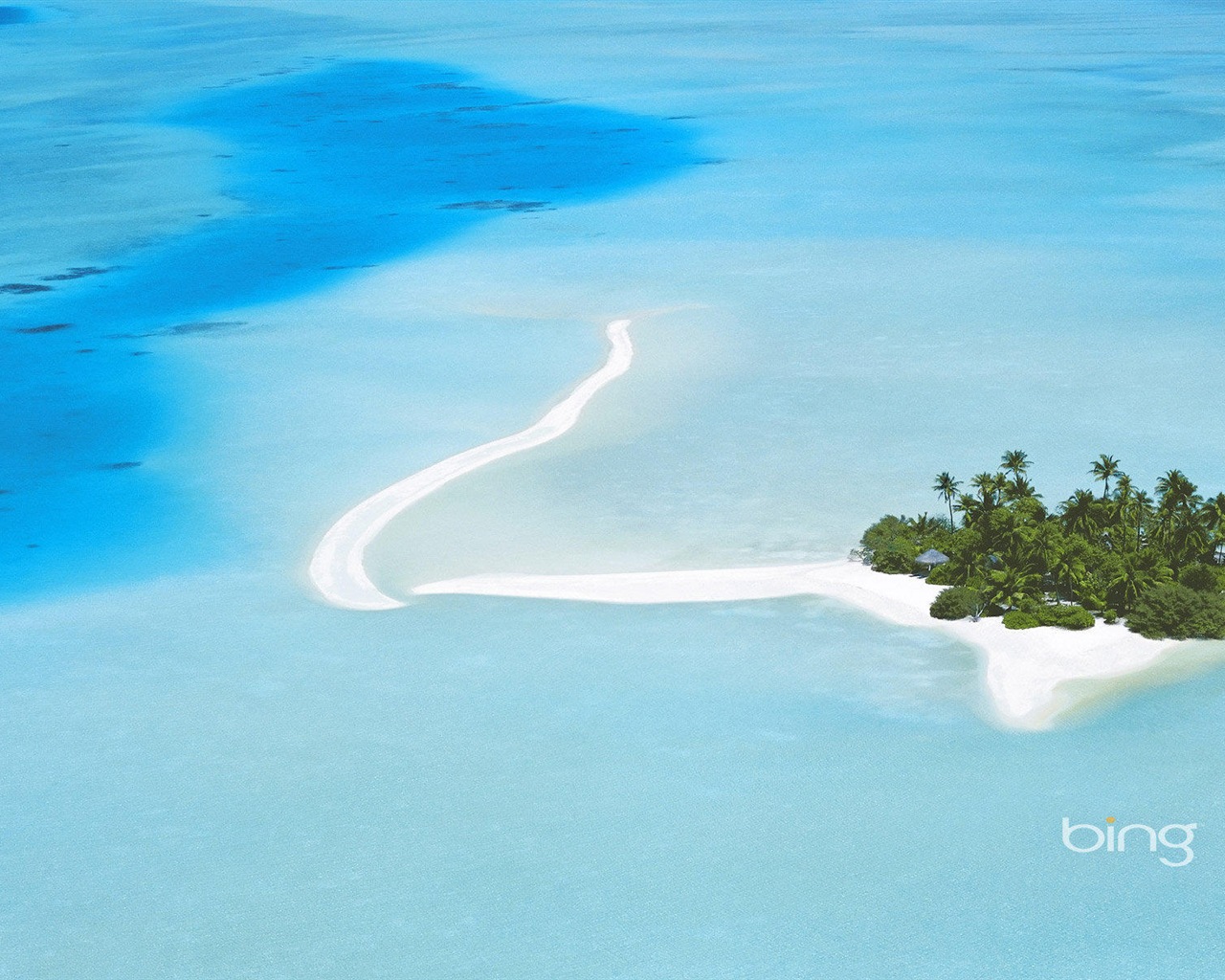 2013 Bing official animals and landscape HD wallpapers #21 - 1280x1024