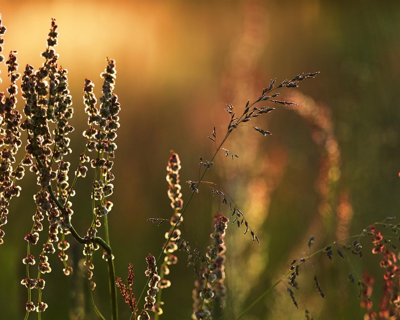 스웨덴 사계절 자연의 아름다움 HD 배경 화면 #7 - 1280x1024