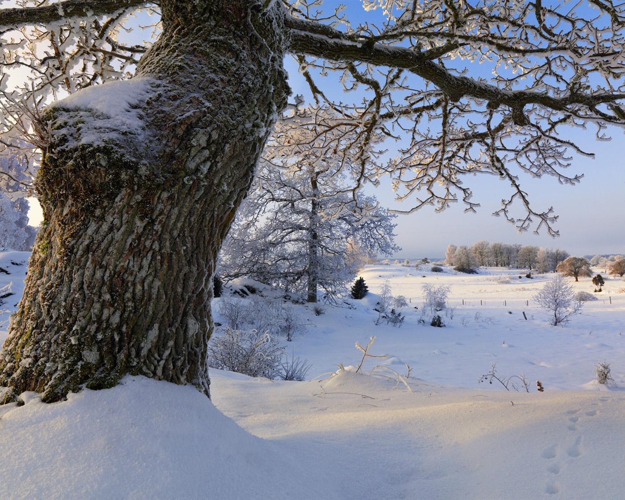 Švédsko sezón přírodní krásy HD tapety na plochu #13 - 1280x1024