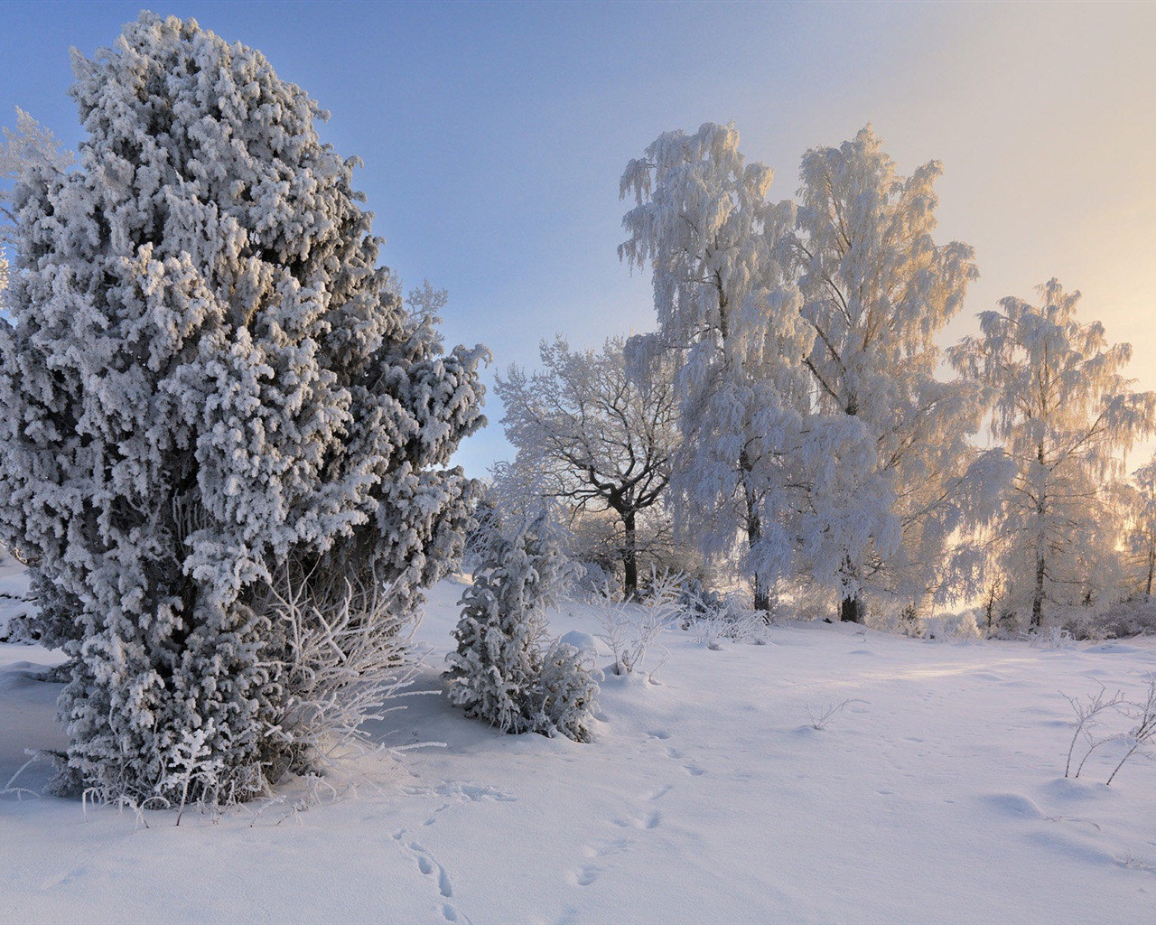 スウェーデンの四季の自然の美しさのHD壁紙 #19 - 1280x1024
