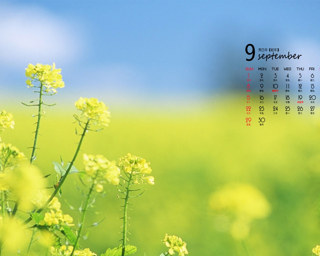 September 2013 Kalender Wallpaper (1) #4 - 1280x1024