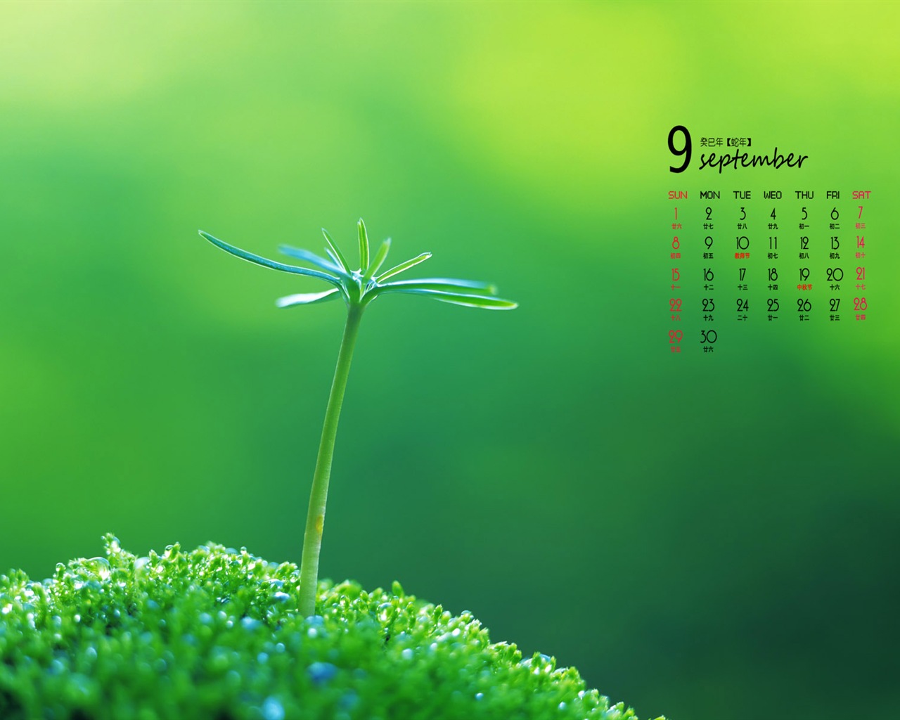 Septembre 2013 Calendar Wallpaper (1) #5 - 1280x1024