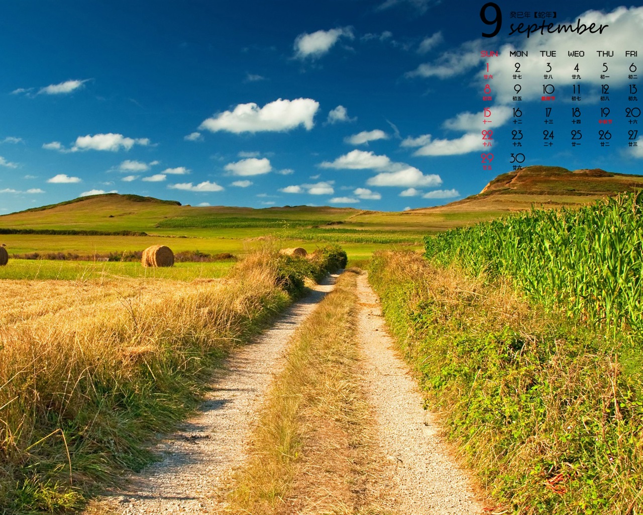 September 2013 Kalender Wallpaper (1) #17 - 1280x1024