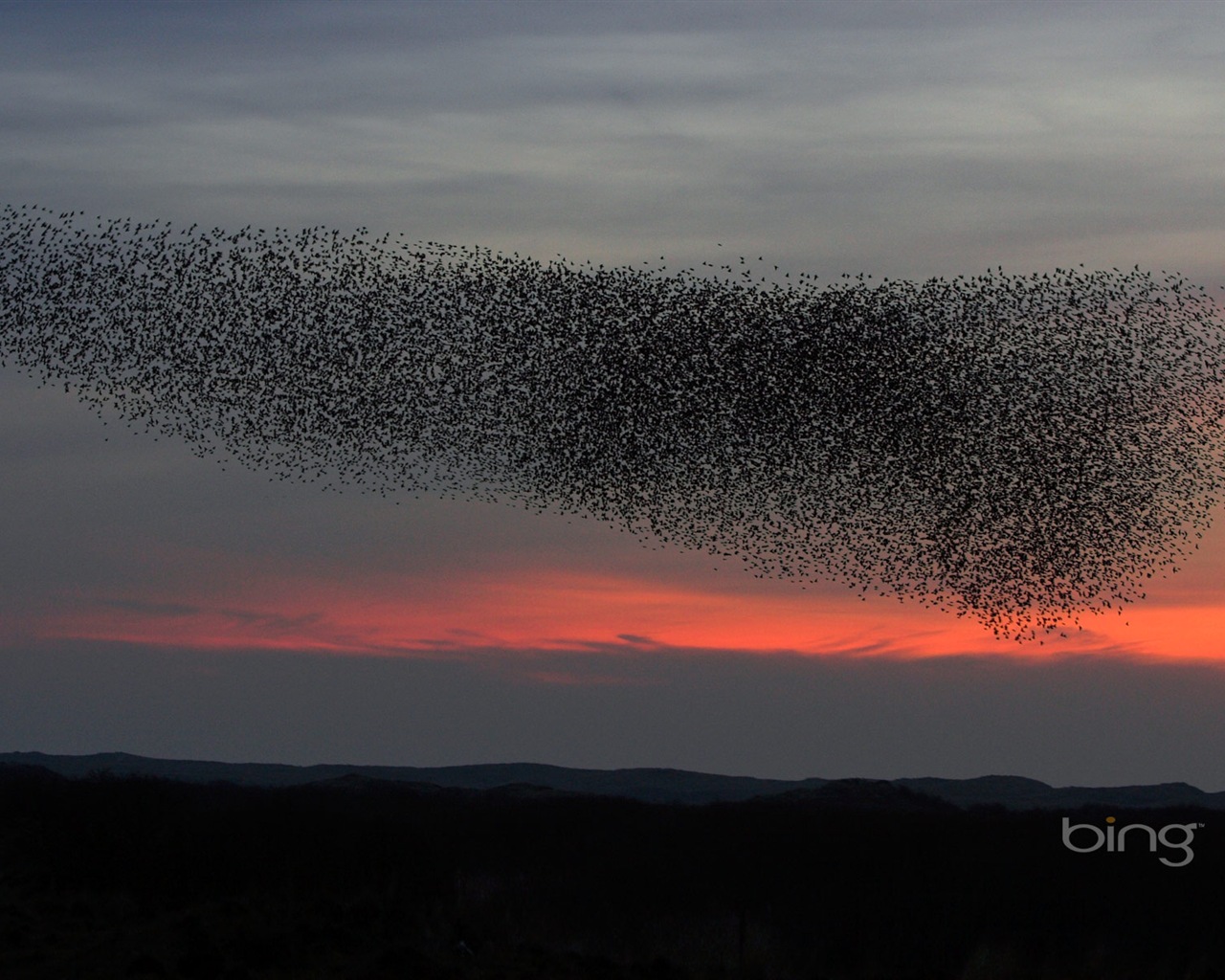 2013 Bing 必應秋季風景、動物、城市高清壁紙 #11 - 1280x1024