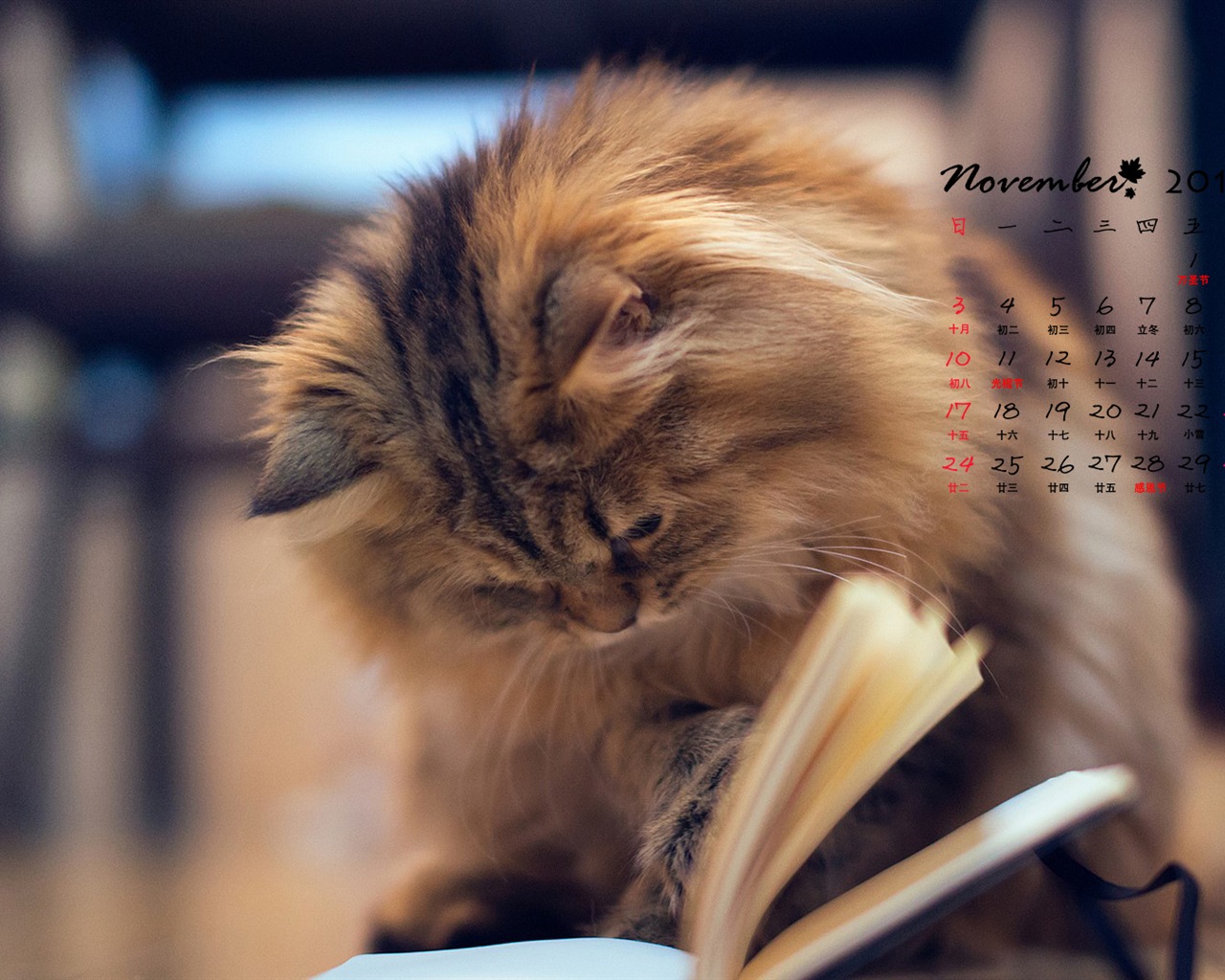 November 2013 Calendar wallpaper (1) #3 - 1280x1024