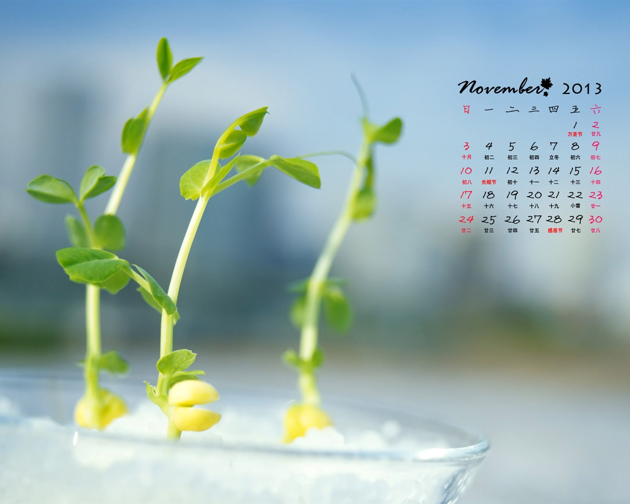 November 2013 Calendar wallpaper (1) #10 - 1280x1024