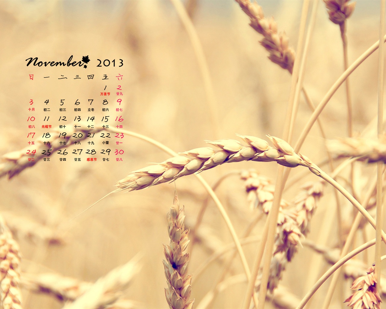 November 2013 Calendar wallpaper (1) #16 - 1280x1024