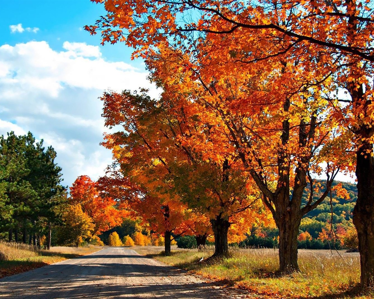 Thème de Windows 8.1 HD fonds d'écran: belles feuilles d'automne #10 - 1280x1024