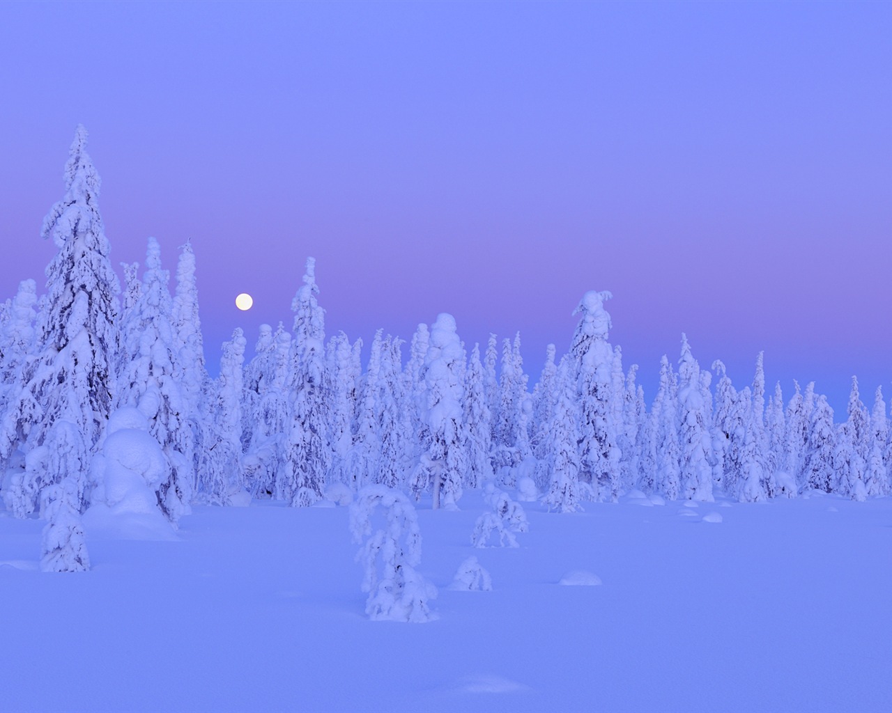 Windows 8 主題高清壁紙：冬季雪的夜景 #12 - 1280x1024