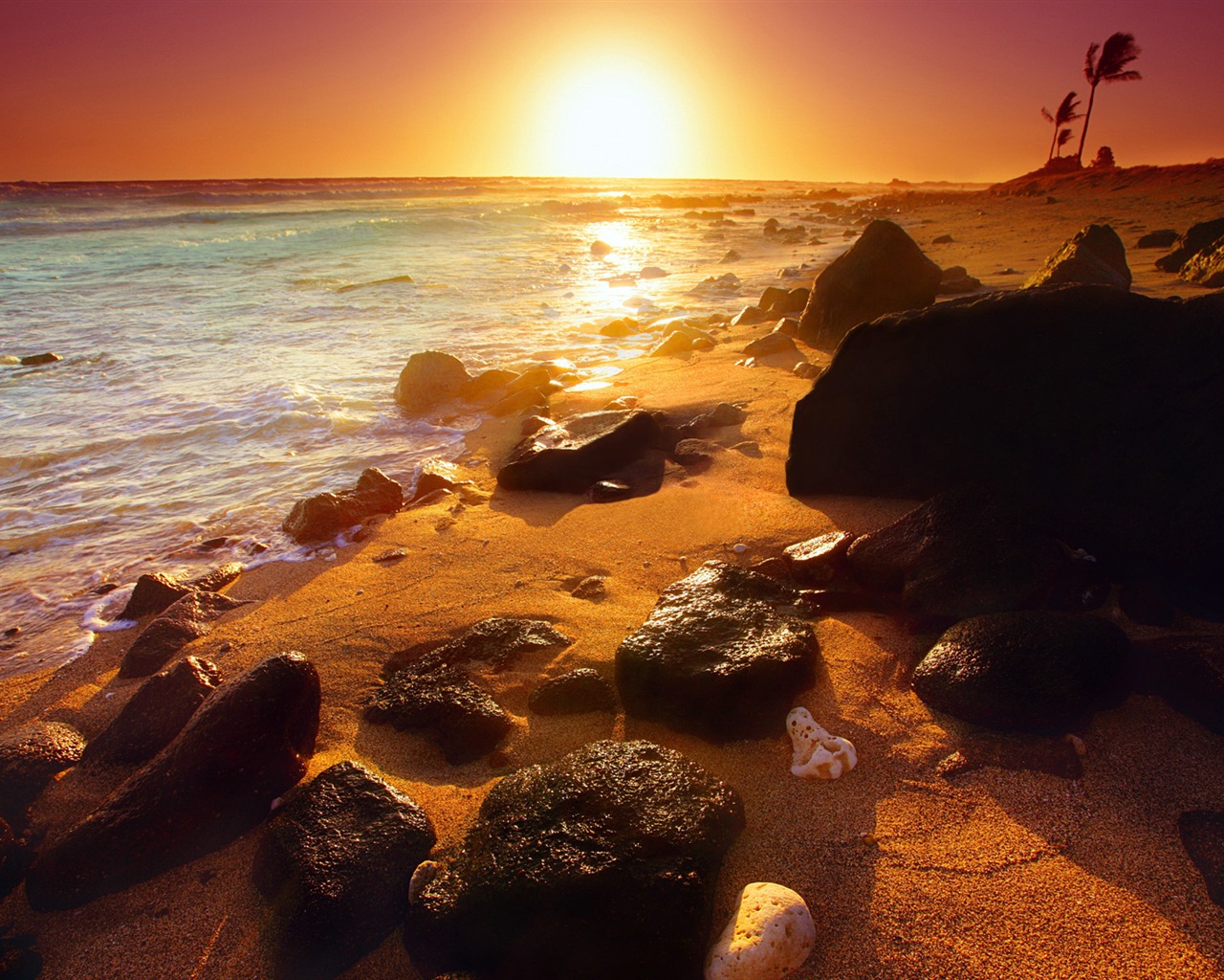 윈도우 8 테마 배경 화면 : 해변의 일출과 일몰보기 #1 - 1280x1024