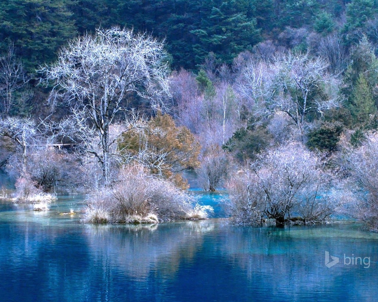 微软bing 11月份精美高清壁纸12 - 1280x1024