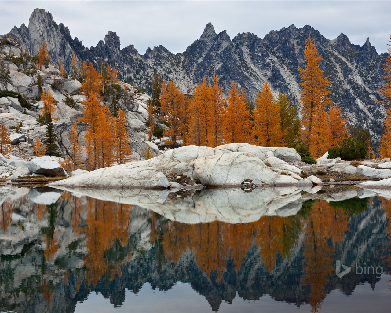 Microsoft bing November exquisite HD wallpaper #18 - 1280x1024