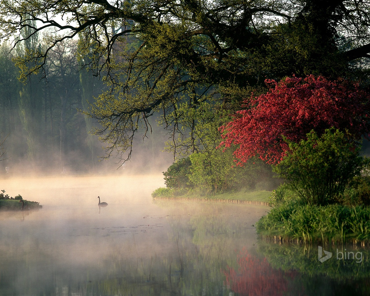 Microsoft bing November exquisite HD wallpaper #25 - 1280x1024