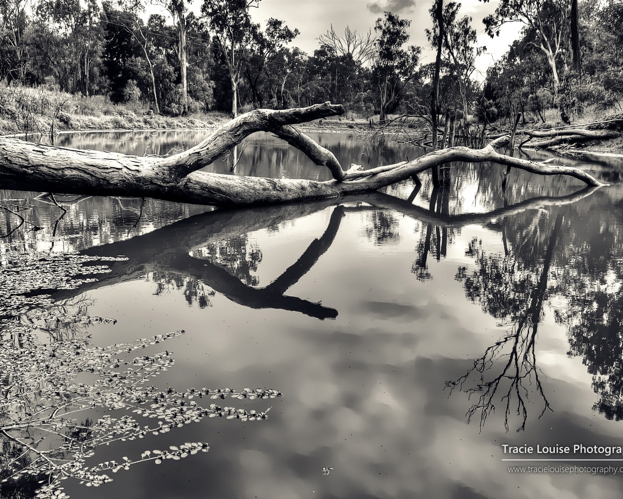 Queensland, Austrálie, krásné scenérie, Windows 8 téma HD Tapety na plochu #11 - 1280x1024