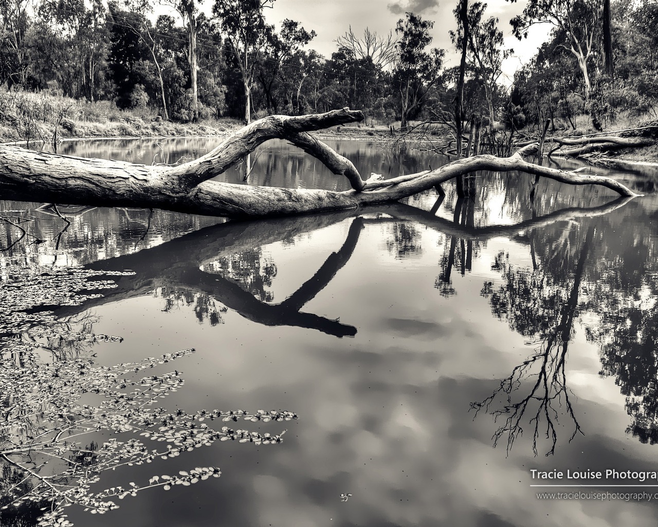 Queensland, Australia, hermosos paisajes, fondos de pantalla de Windows 8 tema de HD #11 - 1280x1024