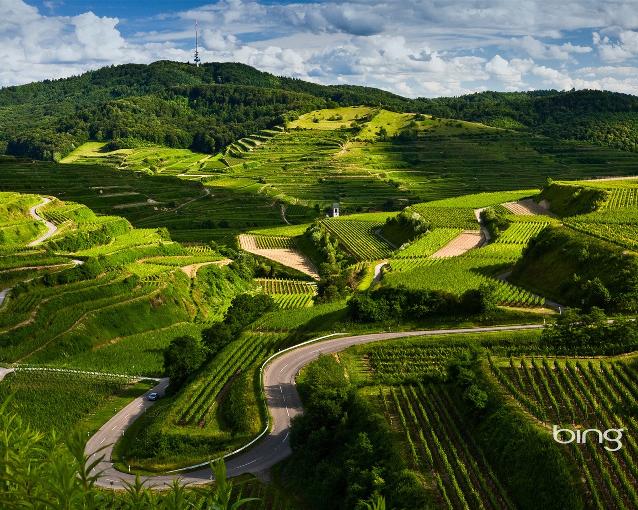 Sélection de fonds d'écran Bing en Janvier 2014 #3 - 1280x1024