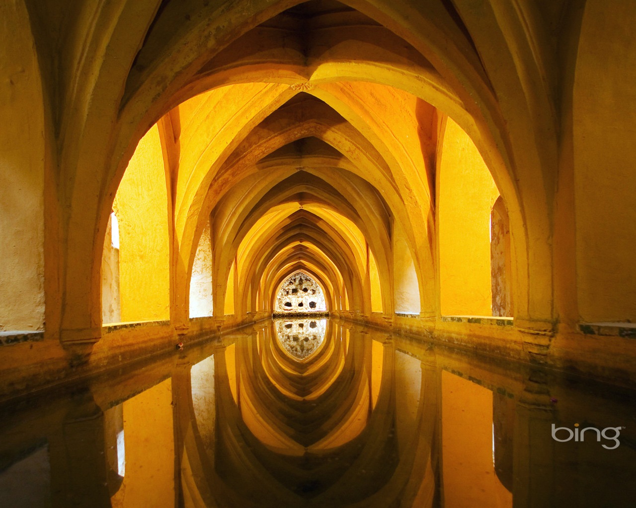 Bing výběr tapeta v lednu 2014 #16 - 1280x1024