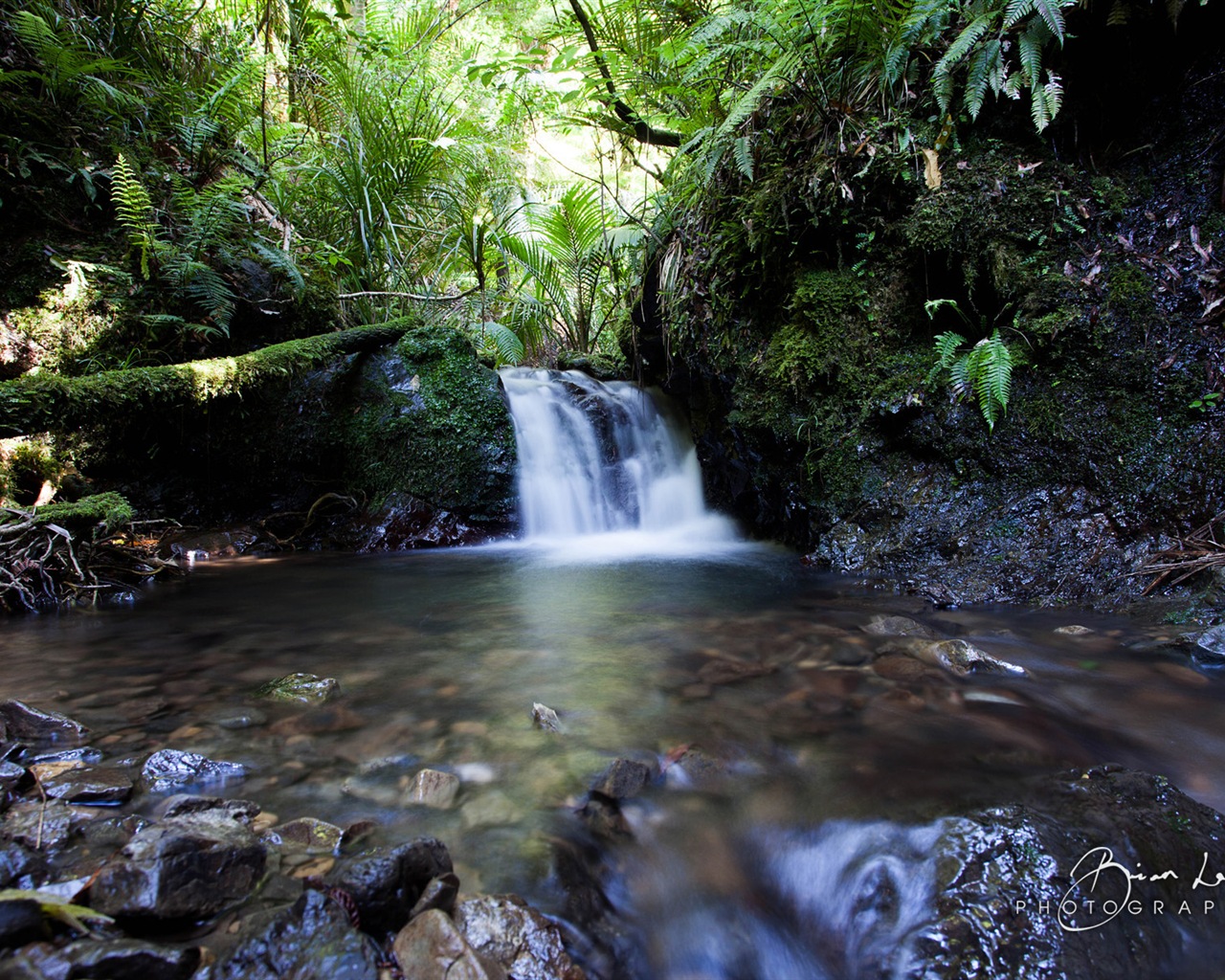 Nouvelle-Zélande Île du Nord de beaux paysages, Windows 8 fonds d'écran thématiques #8 - 1280x1024