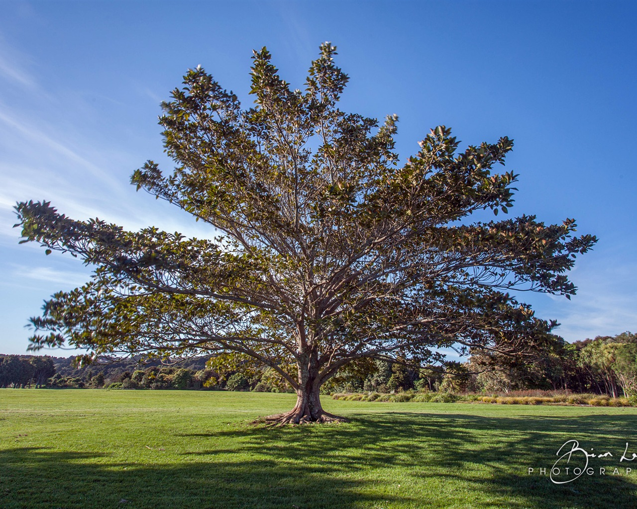 New Zealand North Island beautiful scenery, Windows 8 theme wallpapers #10 - 1280x1024