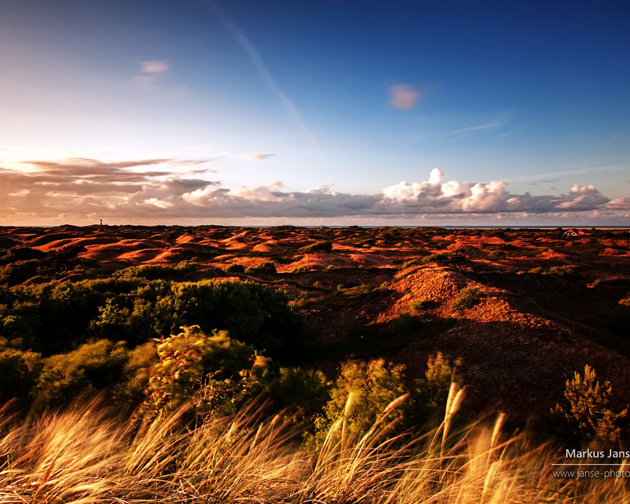 Spiekeroog, Germany, Windows 8 landscape theme wallpapers #3 - 1280x1024