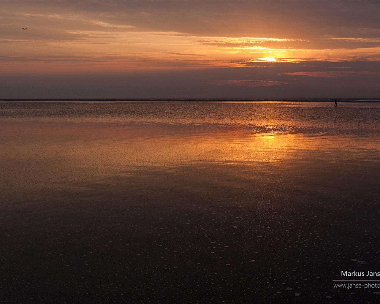 Spiekeroog 施皮克奧格島風景，Windows 8 主題壁紙 #5 - 1280x1024