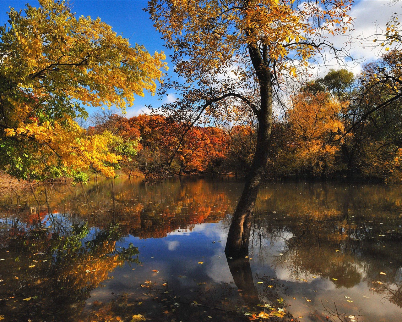 Réflexion dans le fond d'un paysage naturel de l'eau #14 - 1280x1024