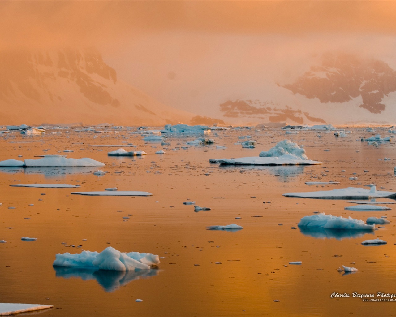 The beauty of life, Windows 8 theme wallpapers #13 - 1280x1024
