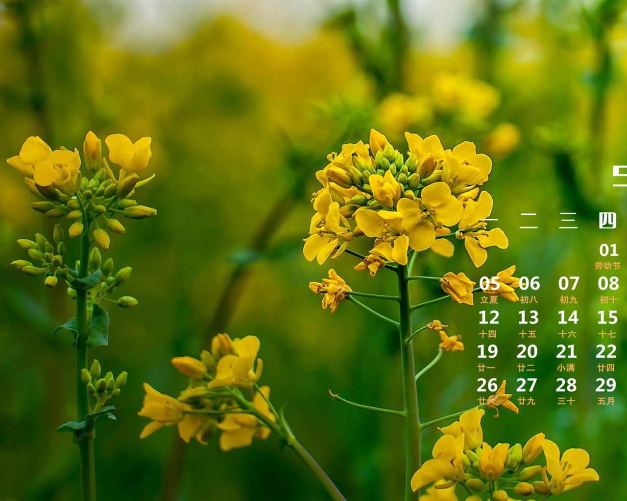 May 2014 calendar wallpaper (1) #5 - 1280x1024