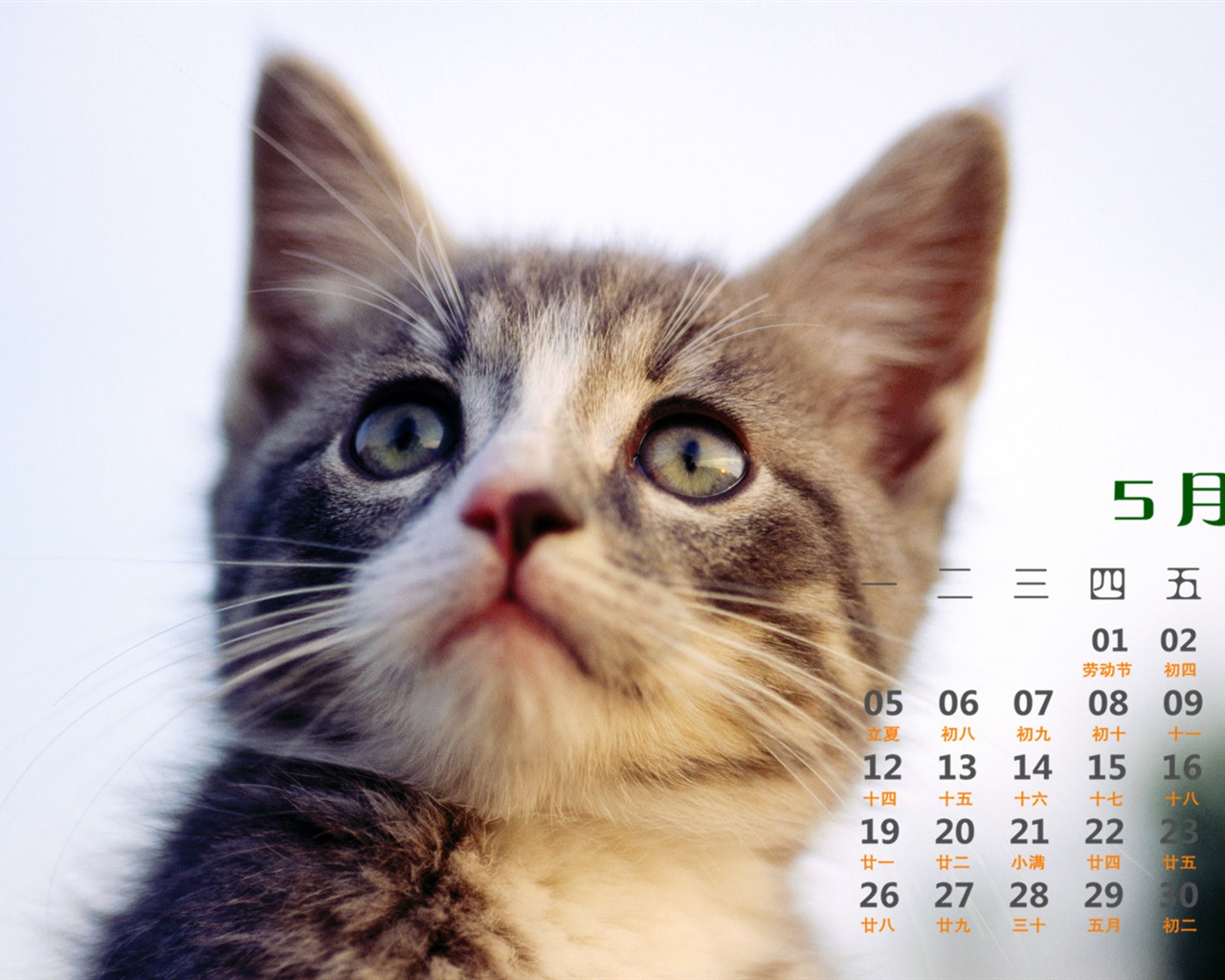 May 2014 calendar wallpaper (1) #13 - 1280x1024