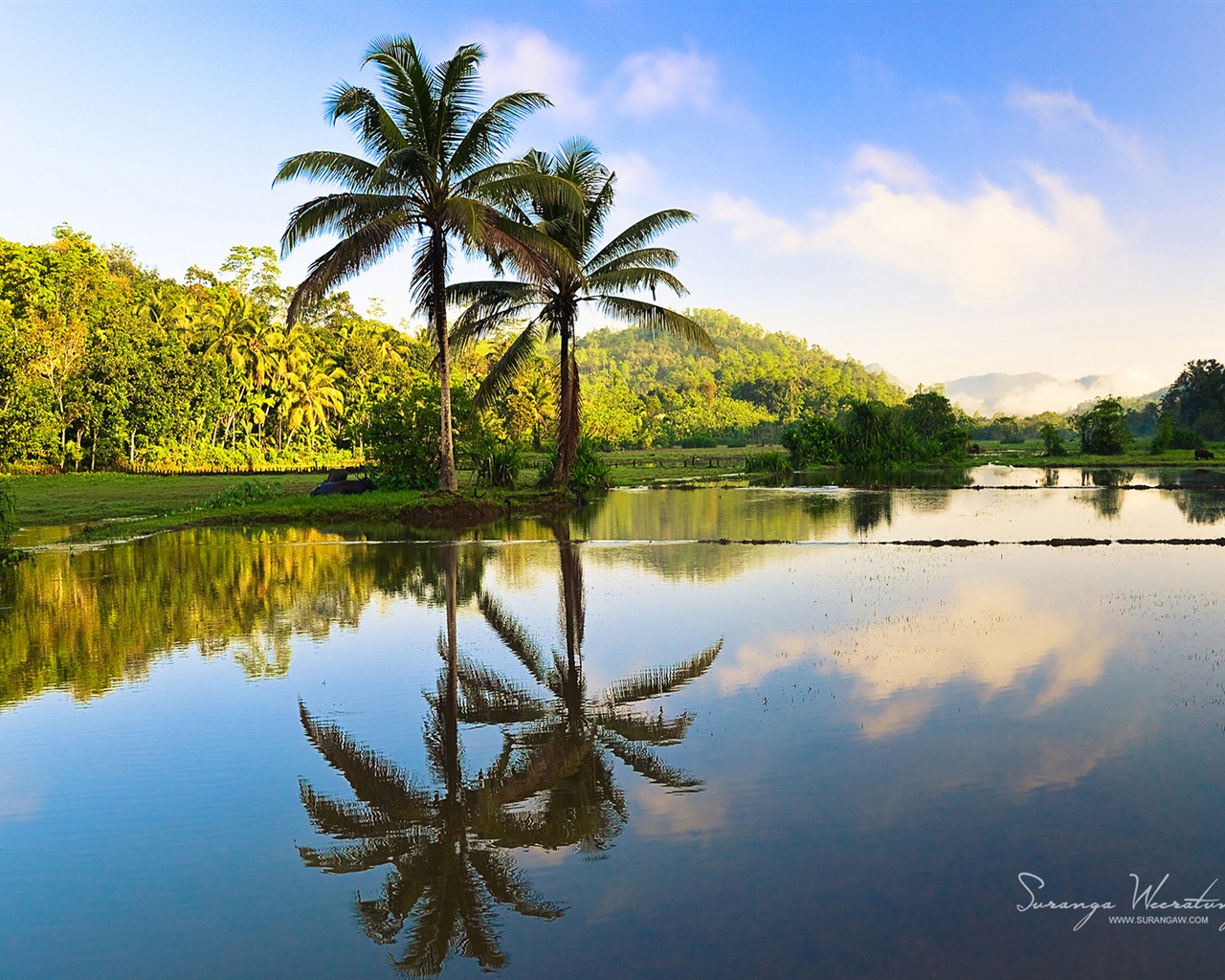 Sri Lanka style de paysage, Windows 8 fonds d'écran thématiques #11 - 1280x1024