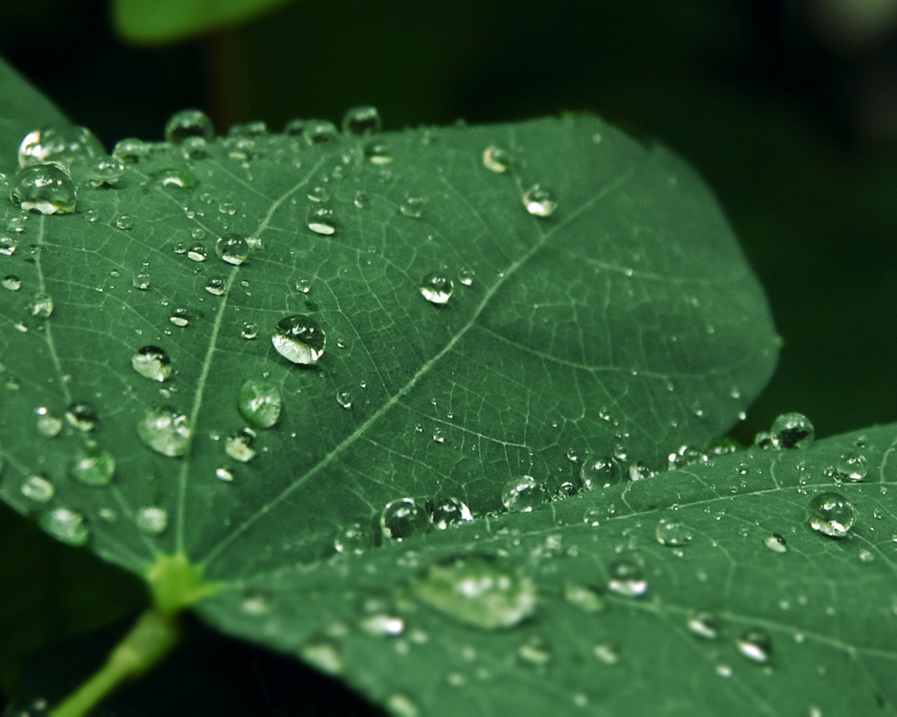 El agua, fuente de vida, fondos de pantalla de Windows 8 tema de HD #7 - 1280x1024