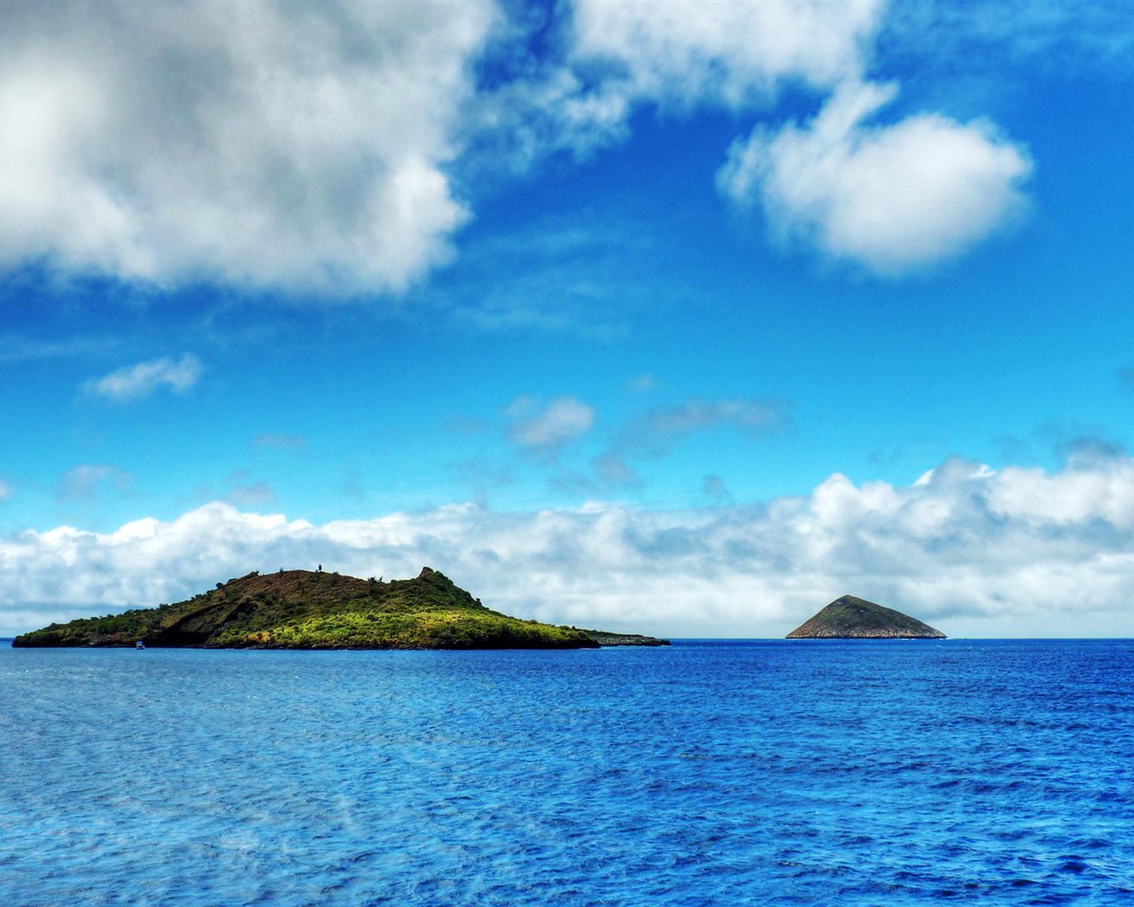 Water, the source of life, Windows 8 theme HD wallpapers #8 - 1280x1024