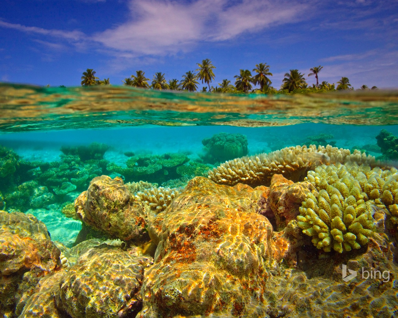 04. 2014 Bing HD tapety na plochu #4 - 1280x1024