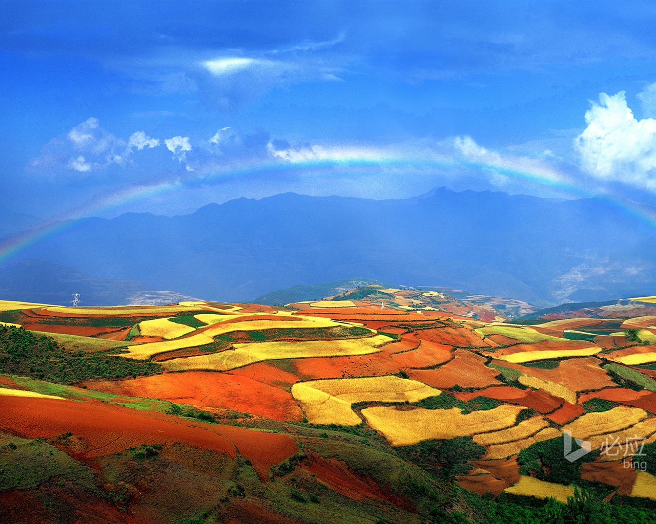 04. 2014 Bing HD tapety na plochu #29 - 1280x1024