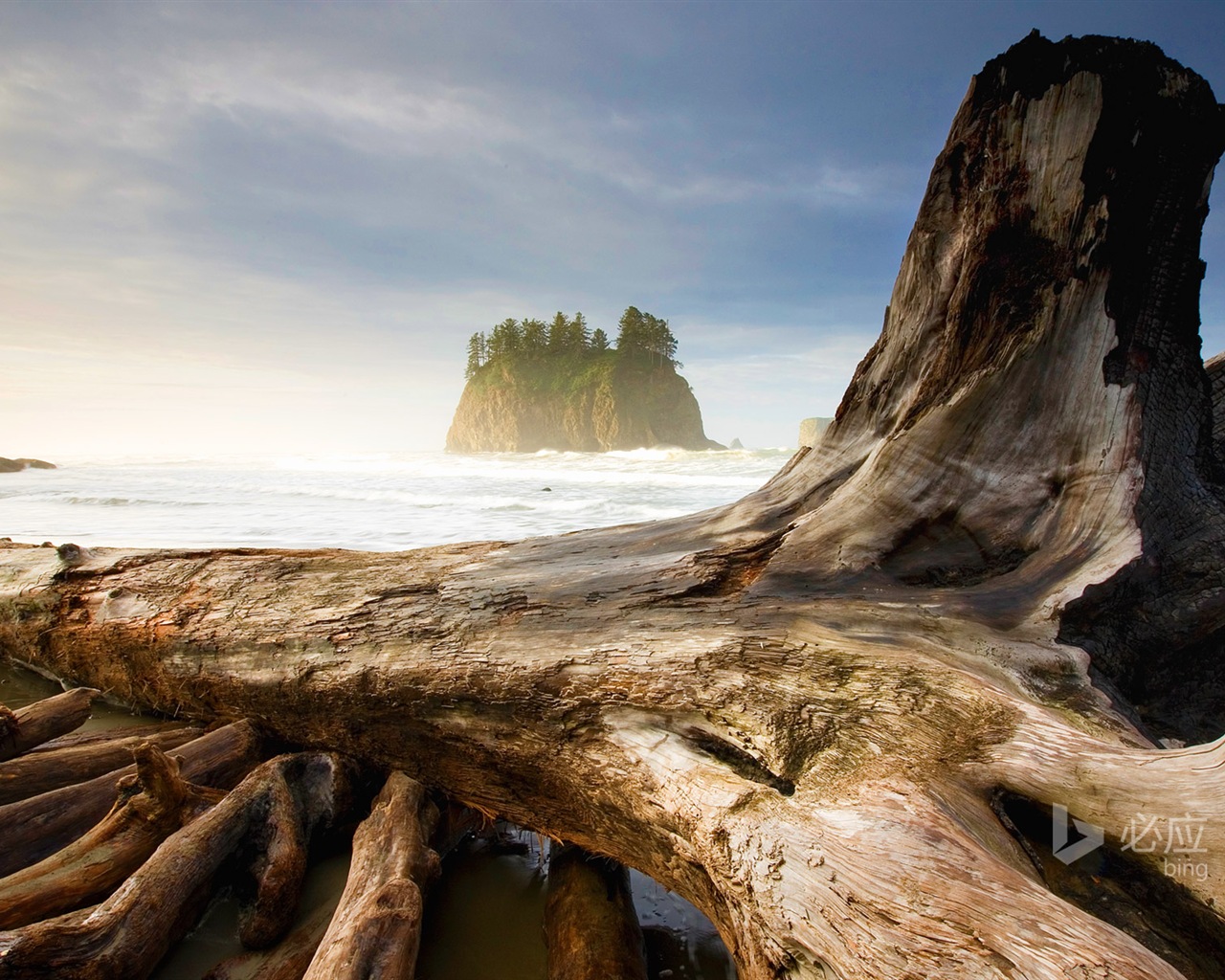 April 2014 Bing HD wallpapers #38 - 1280x1024