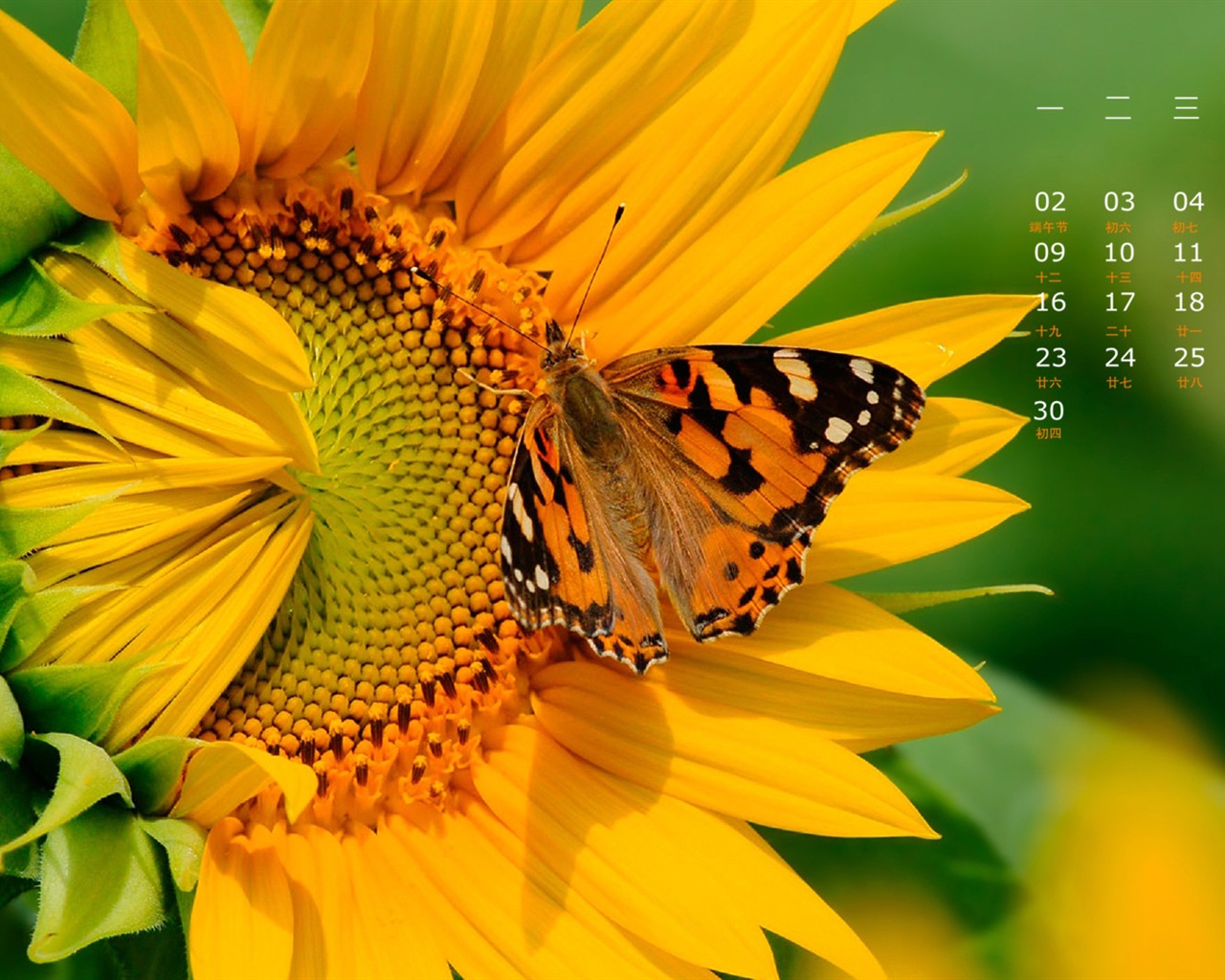 June 2014 calendar wallpaper (1) #6 - 1280x1024