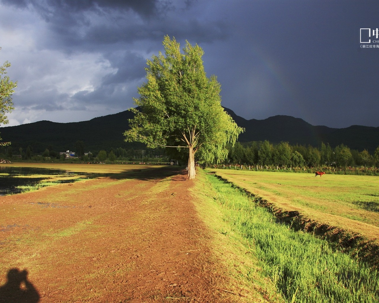 Čínské National Geographic HD Tapety #19 - 1280x1024