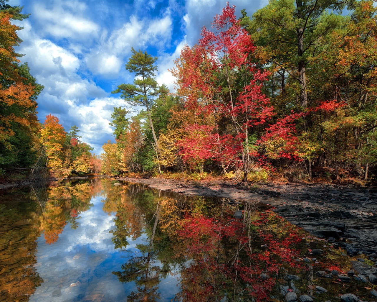 Water and trees in autumn HD wallpapers #4 - 1280x1024