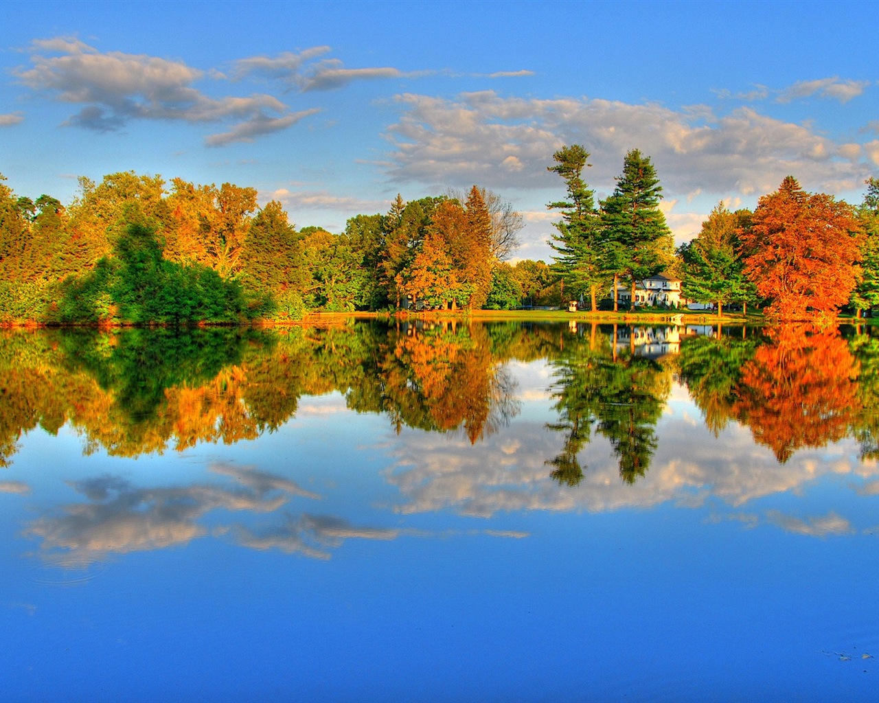 Voda a stromy v podzimních HD tapety na plochu #10 - 1280x1024